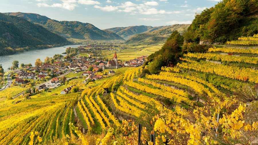 Wachau vista do Danúbio